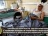 Российские госпитали не способны справиться с наплывом раненых оккупантов, - разведка