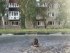 В РФ заявили об очередном обстреле Белгородской области: есть раненые и разрушения