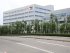 завод TSMC, дорога, растения