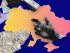 грошові перекази мігранти