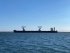 Глубокий кризис: крупнейшие судоходные компании на Дунае просят помощи у ЕС