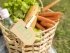 органические продукты