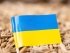 Україна втратить 1,2 млрд євро: Франція та Польща пропонують обмежити ввезення українських продуктів в ЄС