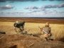 Країни Балтії відправлять в Україну комплекси Javelin та ракети Stinger