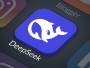 DeepSeek App