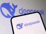 DeepSeek, логотип