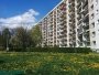 житловий будинок кульбаби дерево газон краків