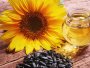 подсолнечник