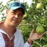 Александр Хорев